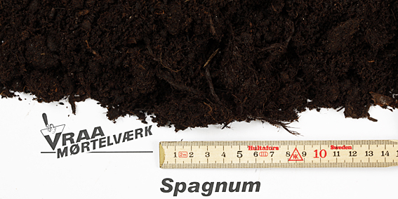 Spagnum
